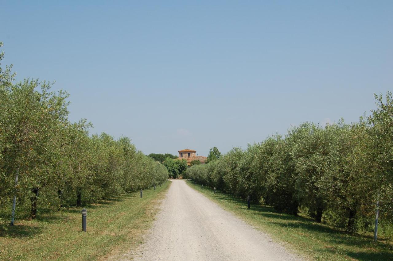 Terricciola Agriturismo Il Selvino מראה חיצוני תמונה