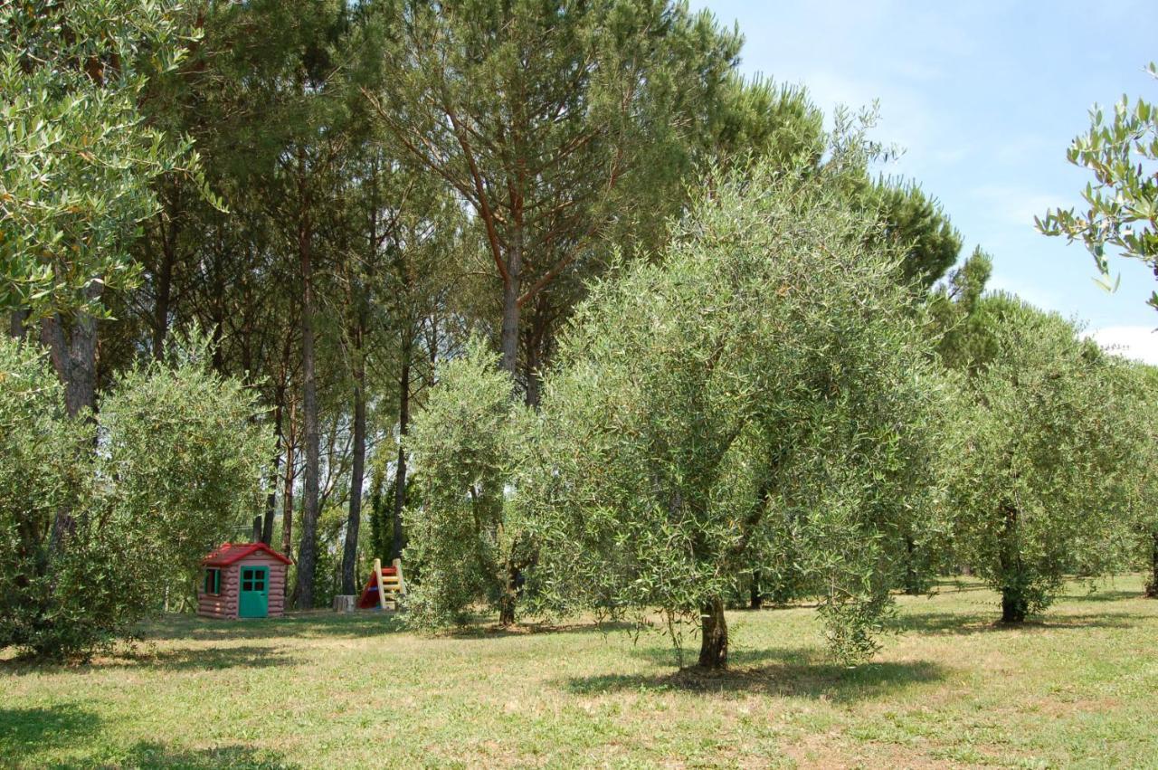 Terricciola Agriturismo Il Selvino מראה חיצוני תמונה
