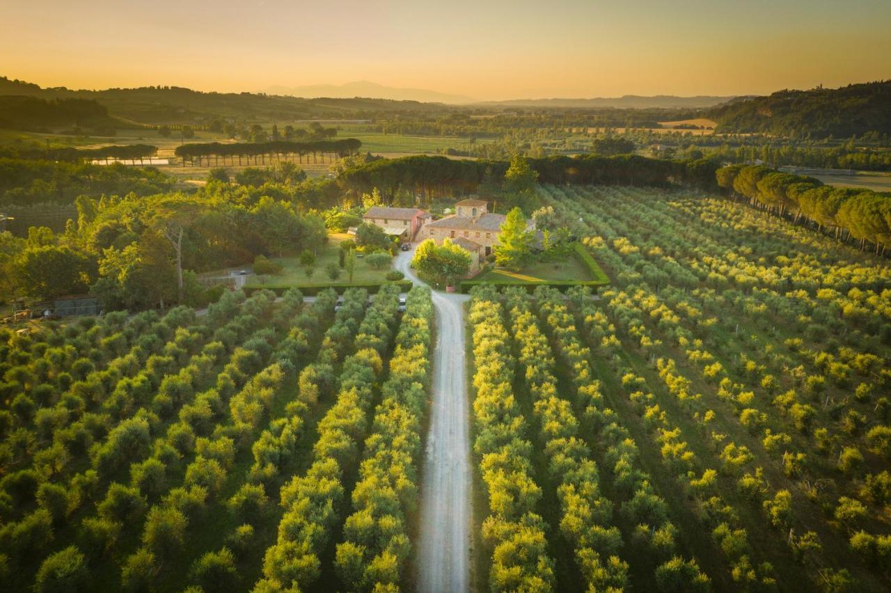 Terricciola Agriturismo Il Selvino מראה חיצוני תמונה